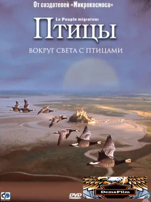 Птицы 2001