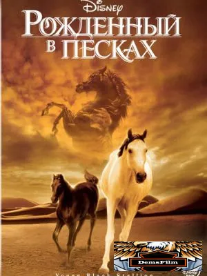 Рожденный в песках 2003
