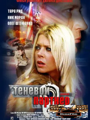 Теневой партнер 2004