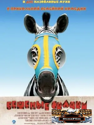 Бешеные скачки 2005