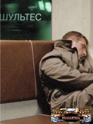 Шультес 2008