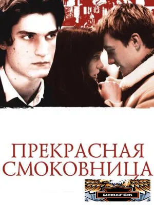 Прекрасная смоковница 2008