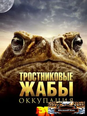 Тростниковые жабы: Оккупация 2010