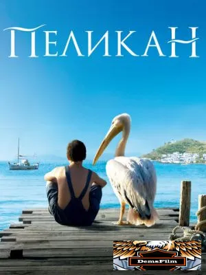 Пеликан 2011