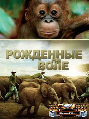 Рожденные на воле 2011
