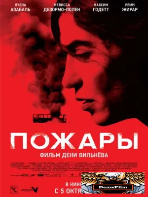 Пожары 2010