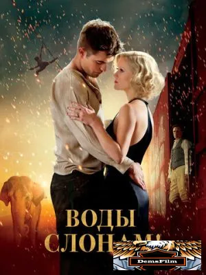 Воды слонам! 2011