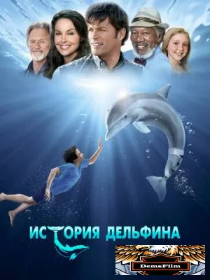 История дельфина 2011