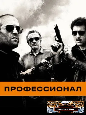 Профессионал 2011