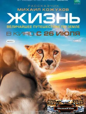 Жизнь 2011