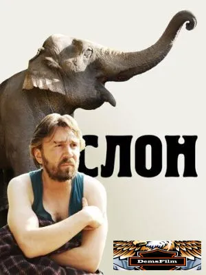 Слон 2010