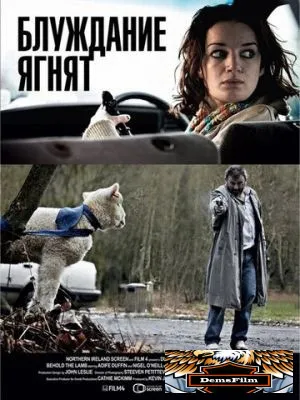 Блуждание ягнят 2011
