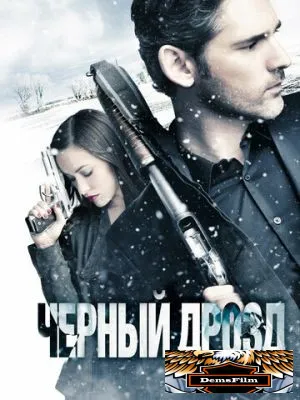Чёрный дрозд 2011
