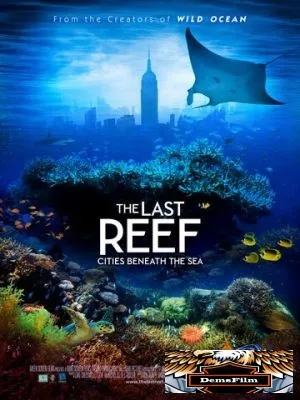 Последний риф 3D 2012