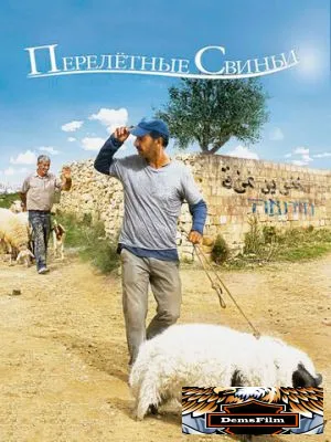 Перелетные свиньи 2011
