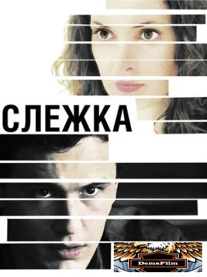 Слежка 2012