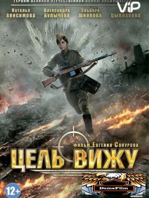 Цель вижу 2013