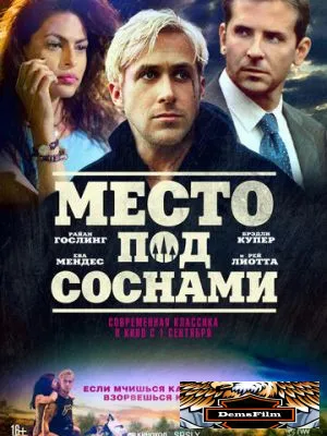 Место под соснами 2012