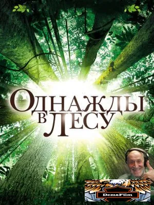 Однажды в лесу 2013