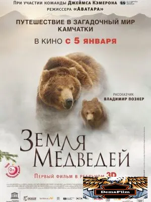 Земля медведей 2013