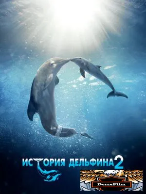 История дельфина 2 2014
