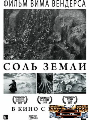 Соль Земли 2014