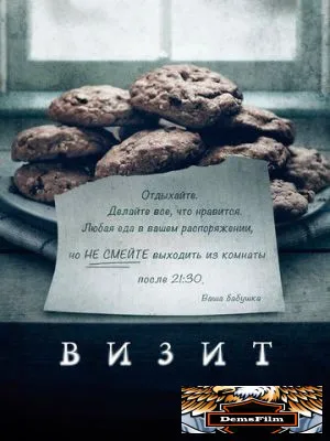 Визит 2015