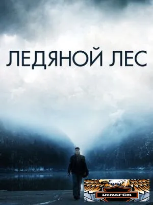 Ледяной лес 2014