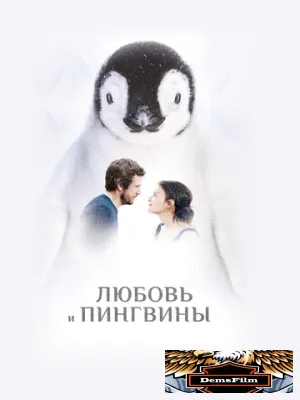 Любовь и пингвины 2016