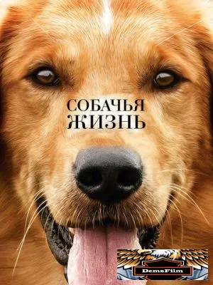 Собачья жизнь 2017