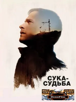 Сука-судьба 2016