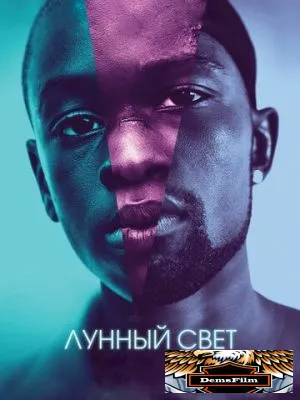Лунный свет 2016