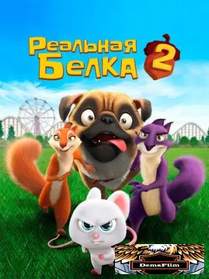 Реальная белка 2 2017