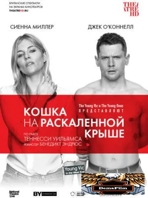Кошка на раскалённой крыше 2018