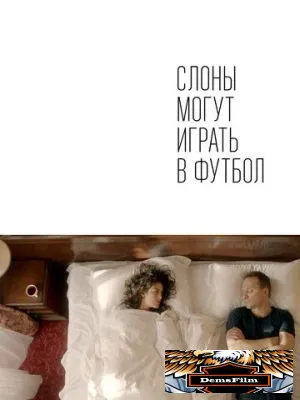 Слоны могут играть в футбол 2018