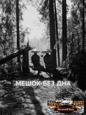 Мешок без дна 2017
