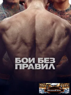 Бои без правил 2017