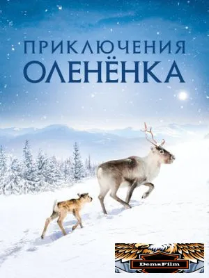 Приключения олененка 2018
