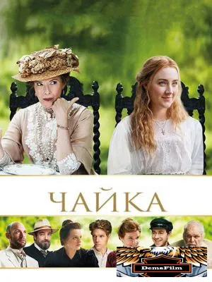 Чайка 2017