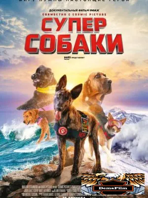 Суперсобаки 2019