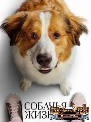 Собачья жизнь 2 2019