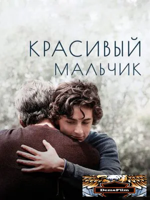 Красивый мальчик 2018