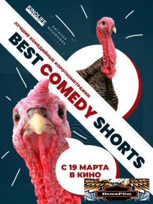 Best Comedy Shorts 2020
