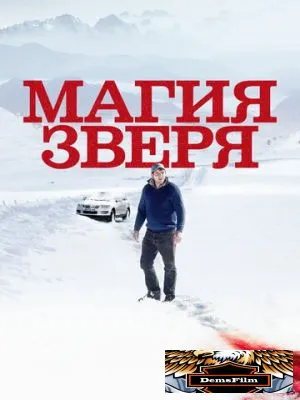 Магия зверя 2019