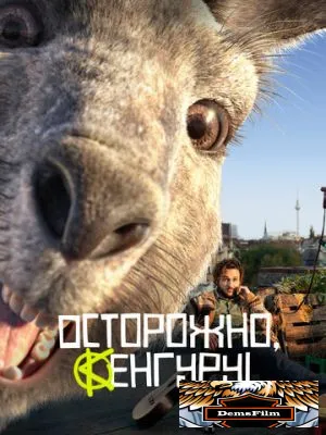 Осторожно, Кенгуру! 2020