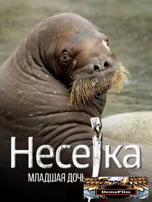 Несейка. Младшая дочь 2018