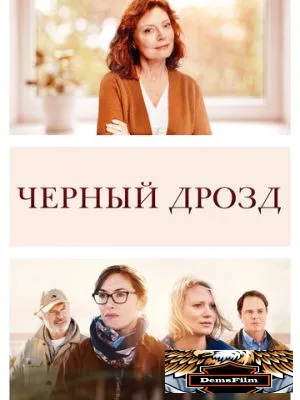 Чёрный дрозд 2019