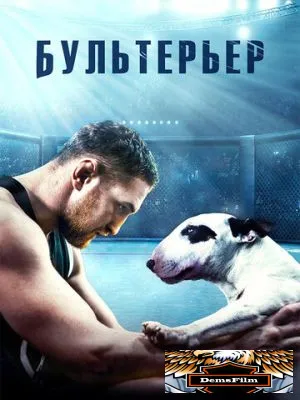 Бультерьер 2022