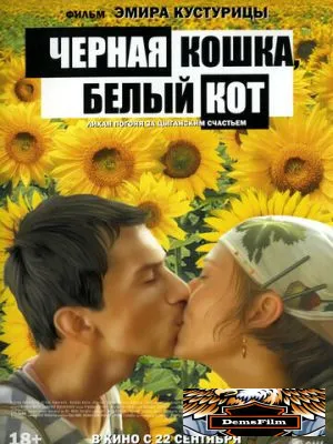 Черная кошка, белый кот 1998
