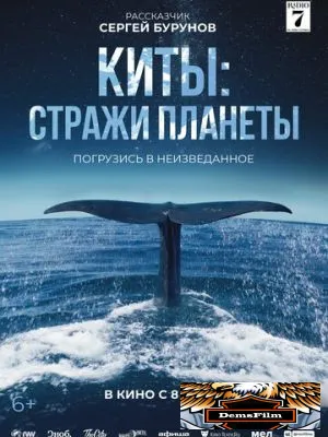 Киты: Стражи планеты 2023